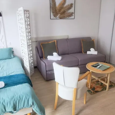 O'Tiny Suite Familiale 4 Personnes, Gare, Centre Ville, Sanctuaire Lourdes Esterno foto